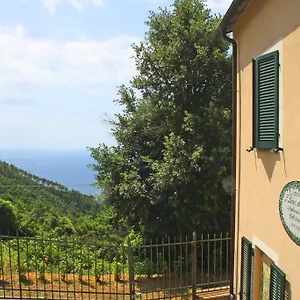 I Lecci Di Soviore Monterosso al Mare
